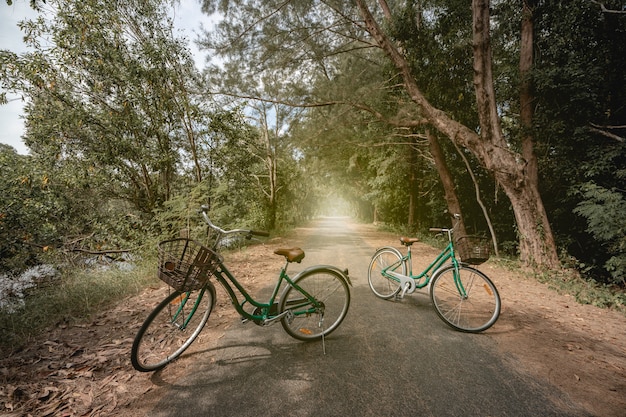 Ein Fahrrad auf der Straße mit Sonnenlicht und grünem Baum im Park im Freien.