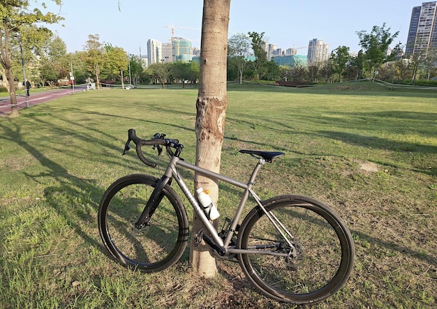 Ein Fahrrad lehnt an einem Baum in einem Park