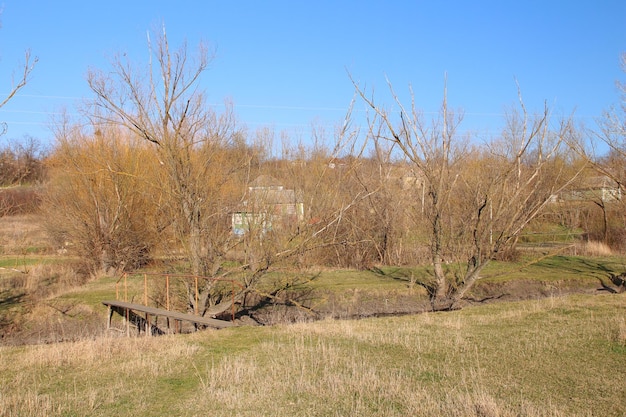 Ein Feld mit Bäumen und Gras