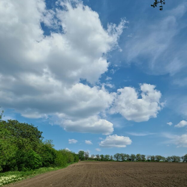 Ein Feld mit blauem Himmel und einer weißen Wolke