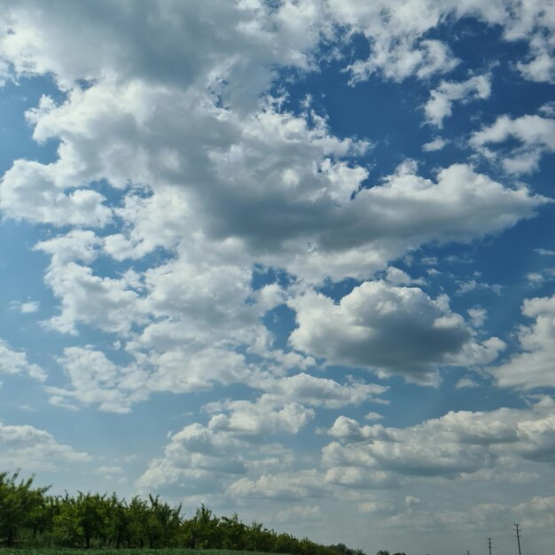 Ein Feld mit blauem Himmel und Wolken