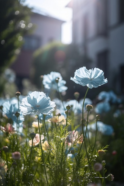 Ein Feld mit blauen Blumen in einem Garten