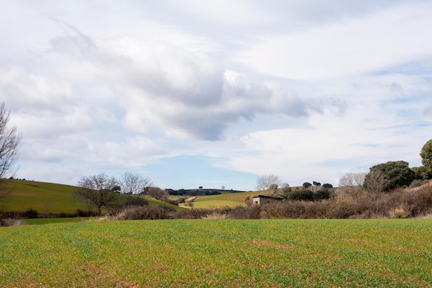 Ein Feld mit einem grünen Feld und einem bewölkten Himmel