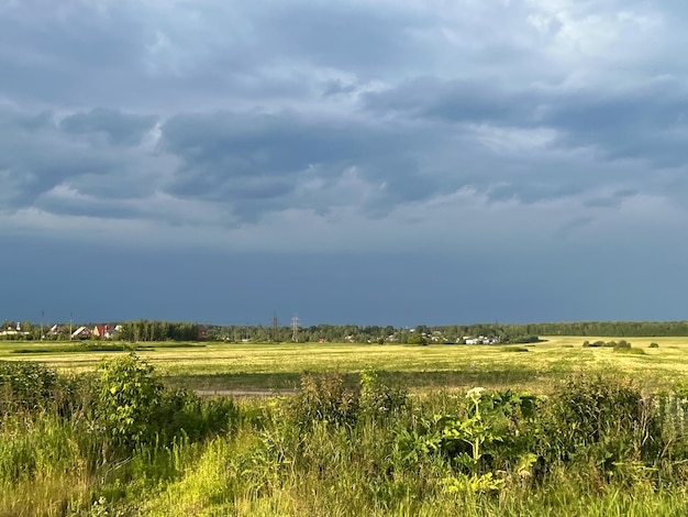 Ein Feld mit einem Haus im Hintergrund