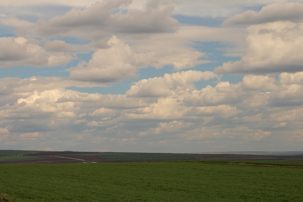 ein Feld mit einem Himmel, der Wolken enthält