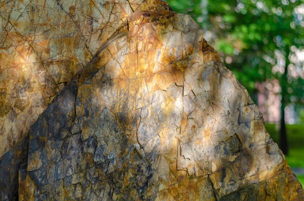 Ein Felsen mit einem Baum im Hintergrund