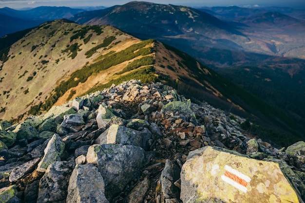 Ein felsiger Berg aus nächster Nähe