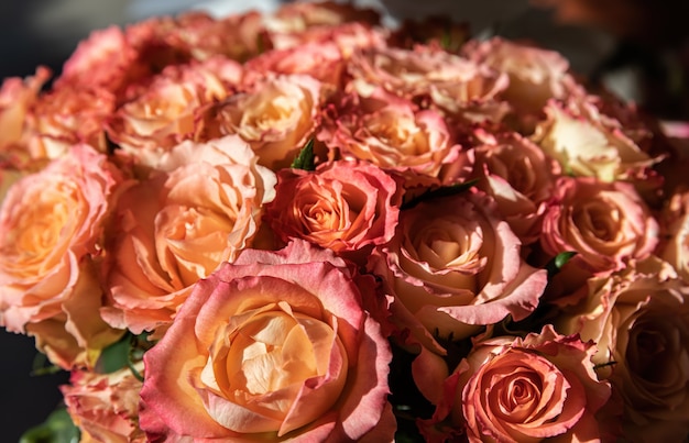 Ein festlicher Strauß orangefarbener Rosen im Sonnenlicht. Blumenhintergrund