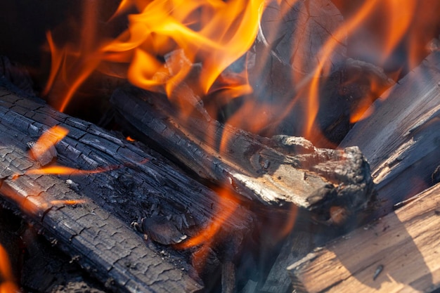 Ein Feuer aus Baumstämmen mit heller Flamme auf einem Campingplatz beim Kochen