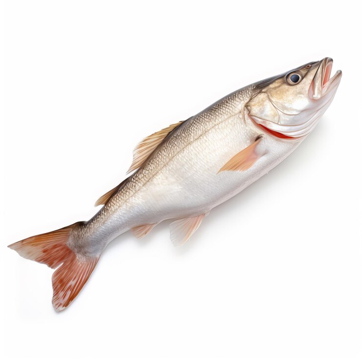 Foto ein fisch, auf dem das wort "fisch" steht