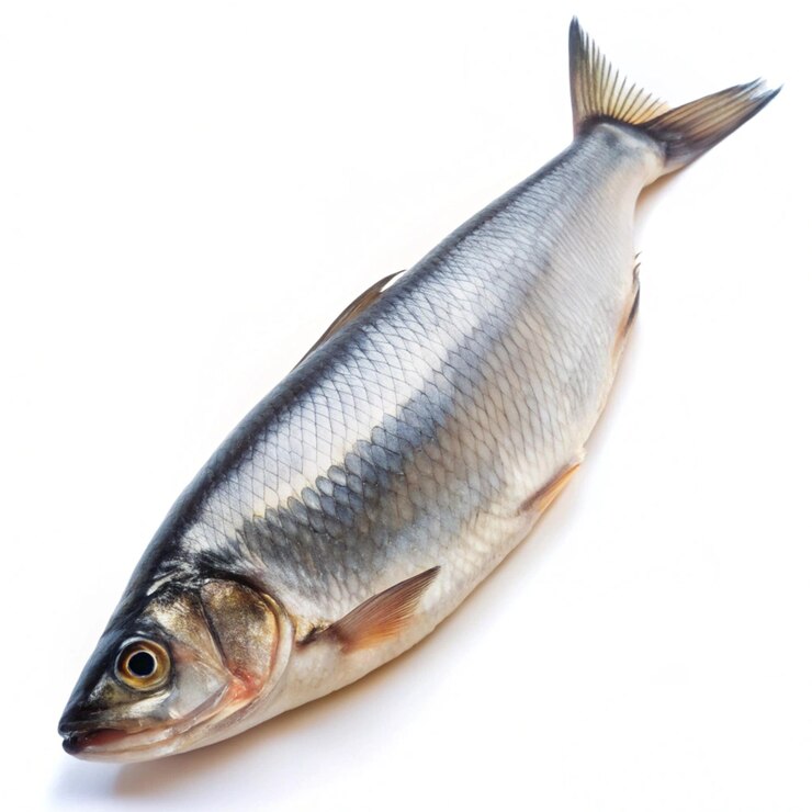 Foto ein fisch, auf dem ein etikett steht, auf dem geschrieben ist: fisch