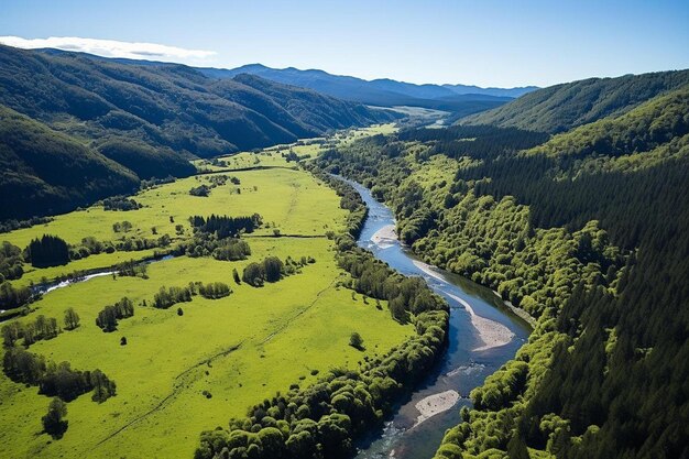 Foto ein fluss fließt durch ein tal mit bäumen und bergen im hintergrund