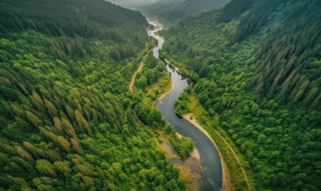 Ein Fluss fließt durch einen Wald mit Bergen im Hintergrund.