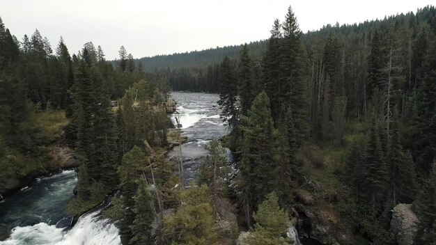 Ein Fluss fließt durch einen Wald mit einem Fluss im Vordergrund.