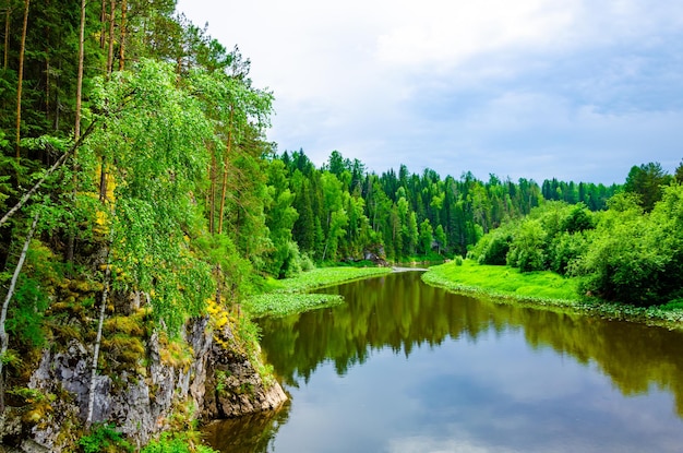 Ein Fluss im Wald mit Bäumen und einem Fluss