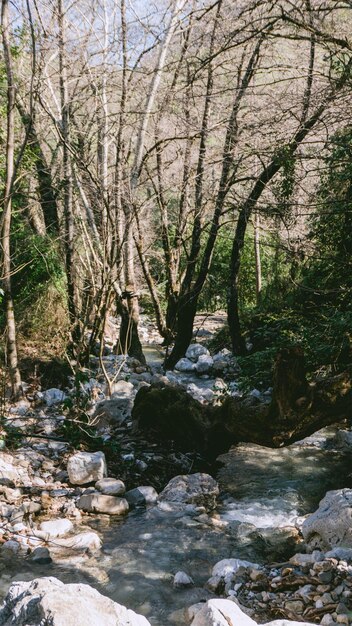 Ein Fluss im Wald mit einem weißen Eimer auf der linken Seite