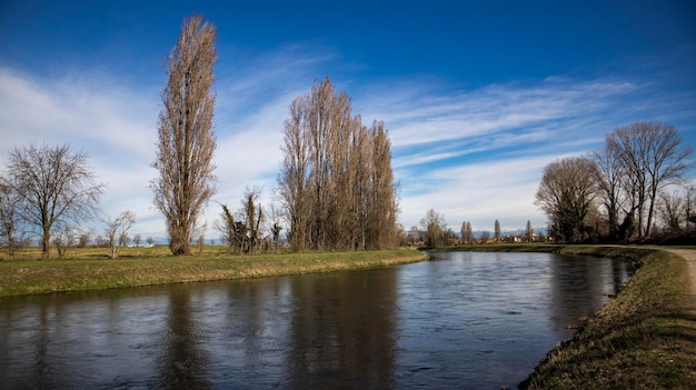 Ein Fluss mit Bäumen und einem blauen Himmel