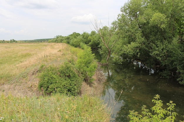 Ein Fluss mit Bäumen und Gras