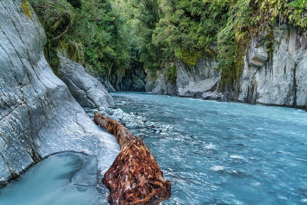 Ein Fluss mit einem Baumstamm im Vordergrund und einem blauen Fluss im Hintergrund