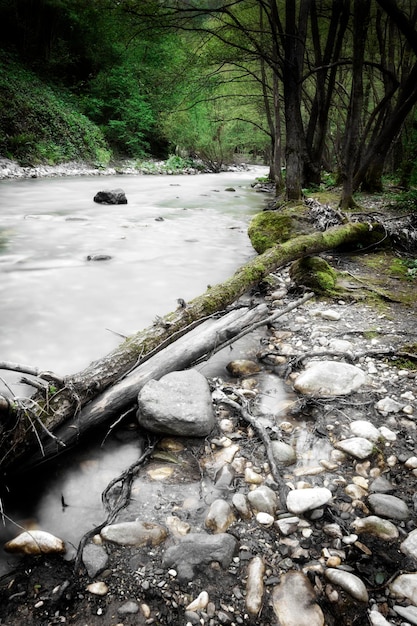 Ein Fluss mit Felsen und Bäumen im Hintergrund