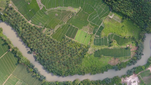 Ein Fluss zwischen Reisfeldern und Plantagen