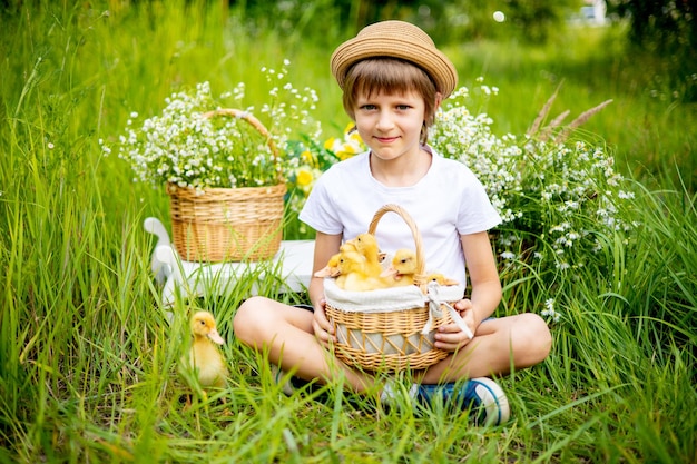 ein fröhlicher Junge hält kleine gelbe Entenküken in einem Korb im Sommer auf einem grünen Rasen unter Blumen ein Kind spielt mit einem Tier