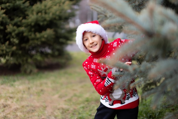 Ein fröhlicher Junge in einem roten Weihnachtspullover mit Rentier und Weihnachtsmütze schaut aus einem Weihnachtsbaum im Park