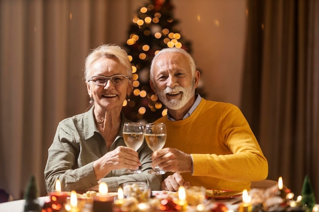 Ein fröhliches älteres Paar macht einen Toast mit Wein und jubelt, während sie am Weihnachtstisch sitzen