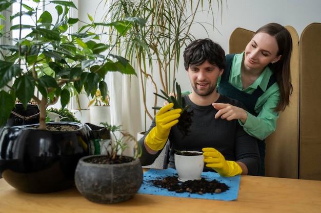 Ein fröhliches junges Gärtnerpaar, das sich gegenseitig lächelt, pflanzt zu Hause Zimmerpflanzen ein