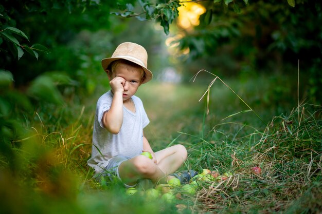 Ein fünfjähriger Junge sitzt mit Äpfeln im Gras in einem Garten mit Apfelbäumen und reibt sich mit der Hand das Auge