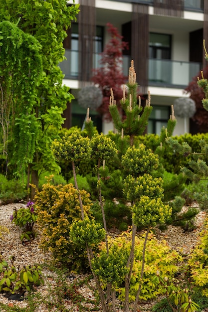 Ein Garten mit Balkon und Pflanzen