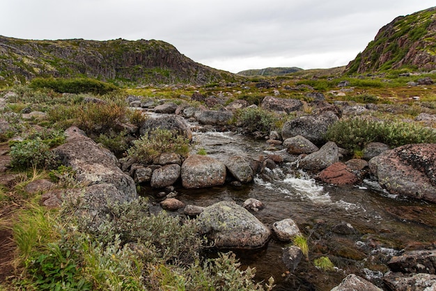 Ein Gebirgsbach zwischen Felsen, die mit buntem Moos und Büschen bedeckt sind. Teriberka, Barentssee, Region Murmansk, Halbinsel Kola