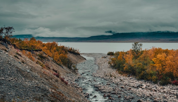 Ein Gebirgsfluss fließt im goldenen Herbst in einen Tornetrask-See im nebligen Abisko-Nationalpark im polaren Schweden