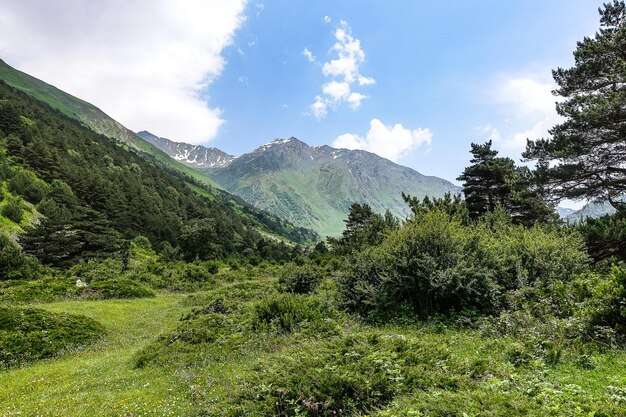 Ein Gebirgstal in der Schlucht des CherekBalkar-Flusses in der Nähe des Ushtulu-Trakts Kaukasus 2021