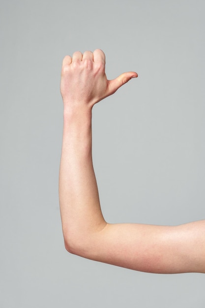 Ein gebogener Unterarm zeigt das Muskelsystem vor einem grauen Hintergrund