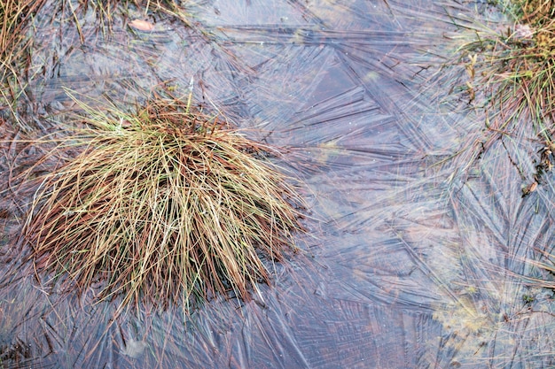 Ein gefrorener Teich mit Eis auf dem Boden und Gras auf dem Boden.