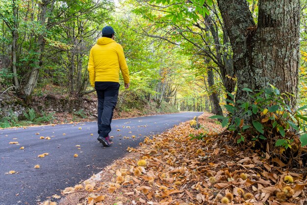 Ein gelb gekleideter mann übt im herbst das trekking durch den kastanienwald