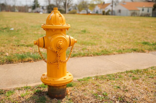 Ein gelber Hydrant steht auf einem Bürgersteig in einem Park.