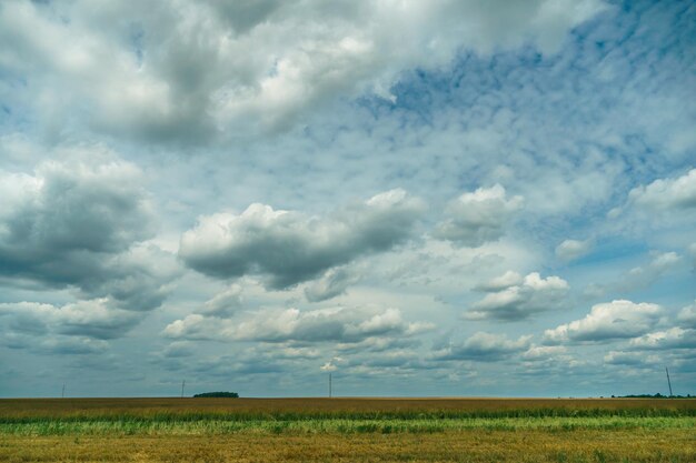 Ein gemähtes Weizenfeld und flauschige Wolken Das Feld nach der Ernte der Getreidepflanzen Erntezeit