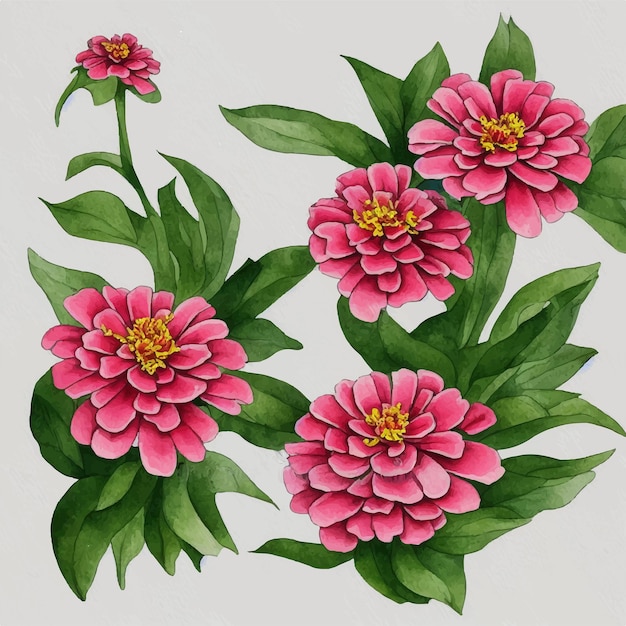Ein Gemälde aus rosa Blumen mit grünen Blättern und dem Wort Chrysantheme auf der linken Seite