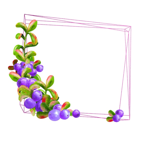 Ein geometrischer Rahmen mit reifen Irgi-Beeren auf weißem Hintergrund ist isoliert. Grafisches Element. Aquarell-Illustration