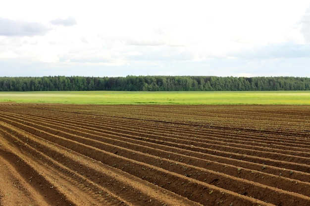 Ein gepflügtes Feld Erstellen einer Furche in einem Ackerfeld, das sich auf das Pflanzen von Pflanzen im Frühjahr vorbereitet