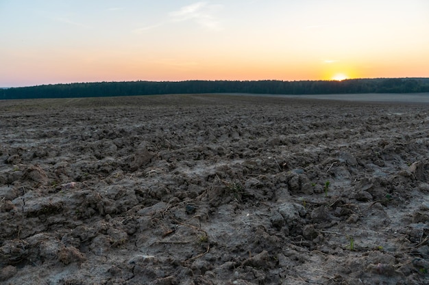 Ein gepflügtes Feld gegen den Himmel Die Saison des Pflanzens in einem Weizenfeld Vorbereitung des Feldes für die Anpflanzung von Raps, Weizen, Roggen und Gerste in ländlichen Gebieten