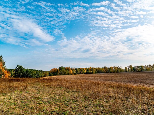 Ein gepflügtes landwirtschaftliches Feld vor der bewölkten Skyline