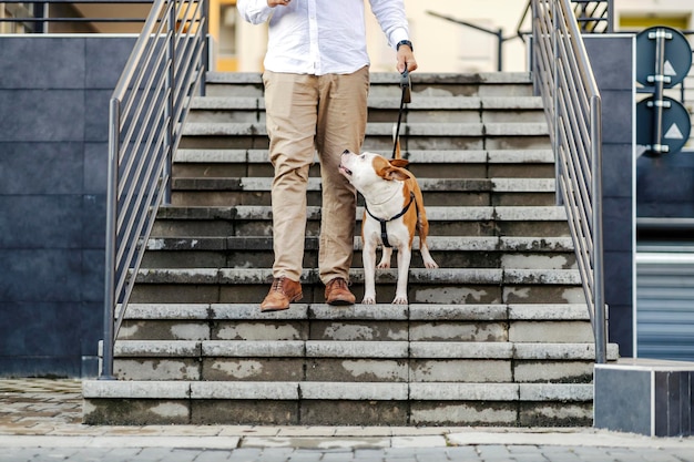 Ein Geschäftsmann, der mit seinem Hund auf der Treppe steht