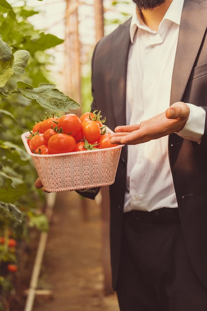 Ein Geschäftsmann, der Tomatenkorb hält und seine Hand offen hält