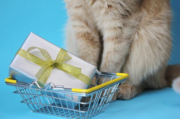 Ein Geschenk, eingewickelt in Silberpapier mit einer goldenen Schleife in einem Einkaufskorb aus Metall. rote Katze