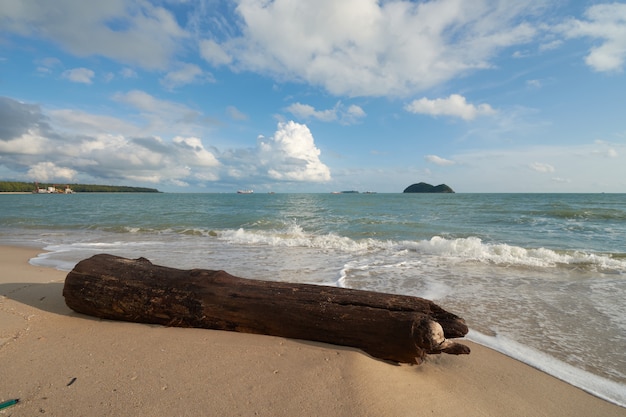 Ein gestrandetes Holz mit Inselhintergrund bei Samila Beach, Songkhla, Thailand.