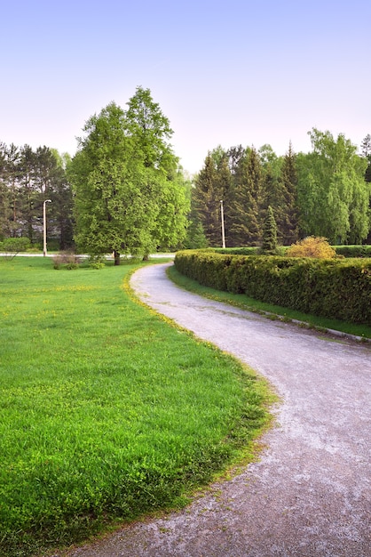 Ein gewundener Weg in einem Landschaftsgarten Bäume mit frischen Blättern Frühlingsgras auf dem Rasen