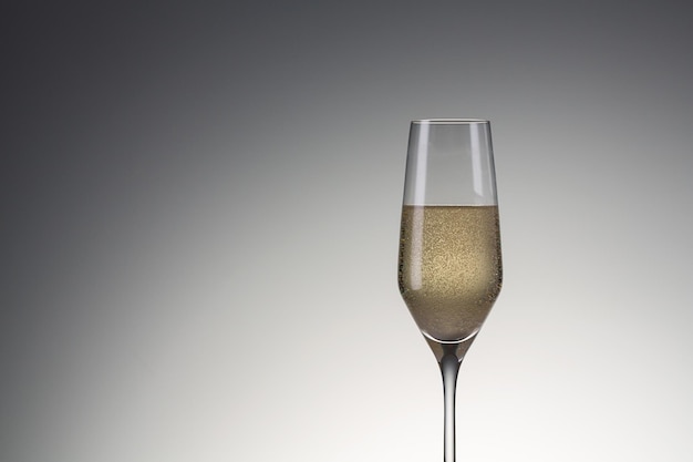 Ein Glas Champagner auf Hintergrund mit Farbverlauf. Aufgenommen im Studio mit einer 5D Mark III.